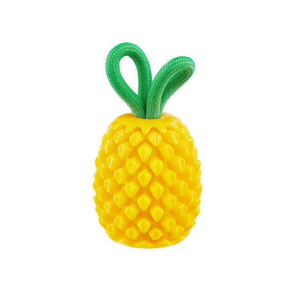 Dental Pineapple Dog Chew Toy
