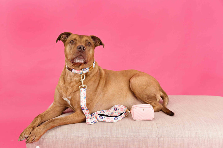 Kylie Pink Vegan Leather Poop Bag Dispenser &amp; Treat Pouch