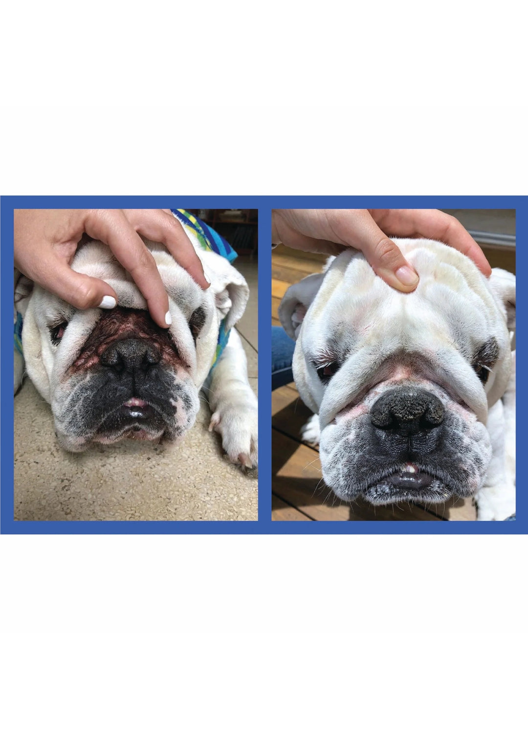 Wrinkle Paste