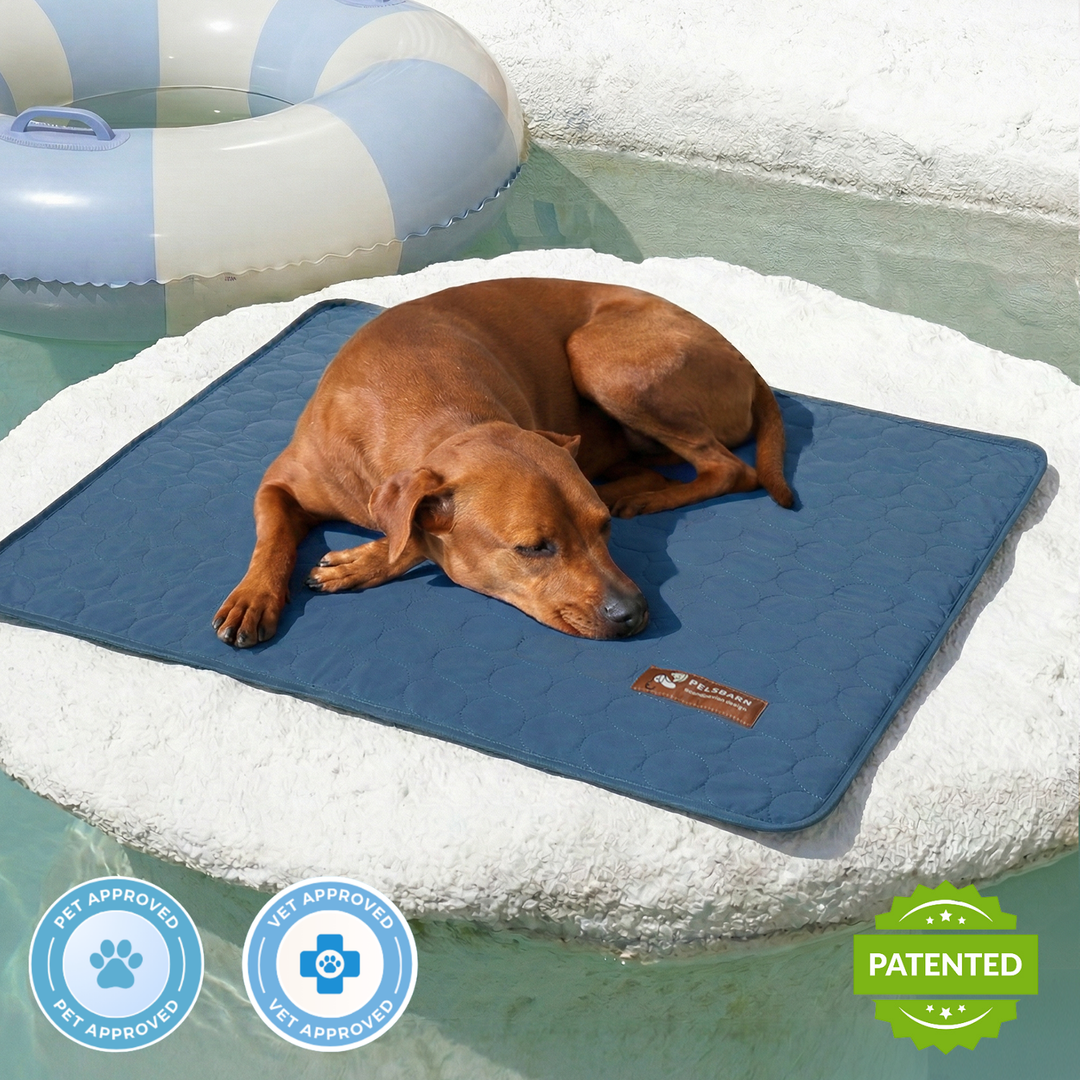 Natural Cooling Mat - Pelsbarn helps shelter dogs!