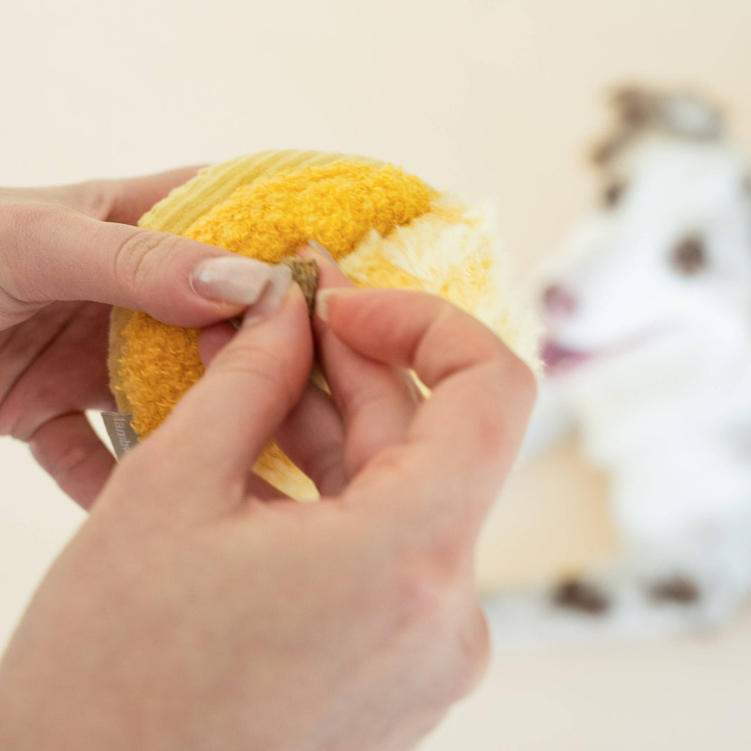 Toto Petite Silent Snuffle Ball