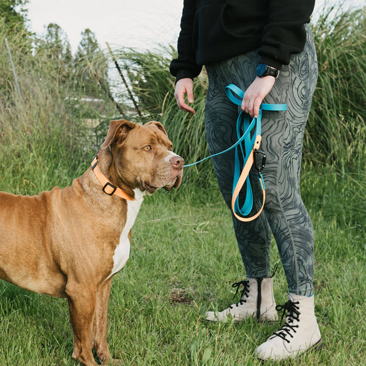 BioThane Collar - Sport (Quick Release Buckle)