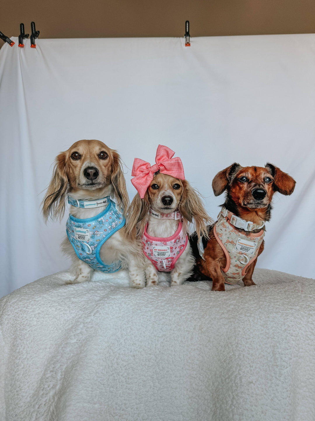 My Melody™ Adjustable Harness