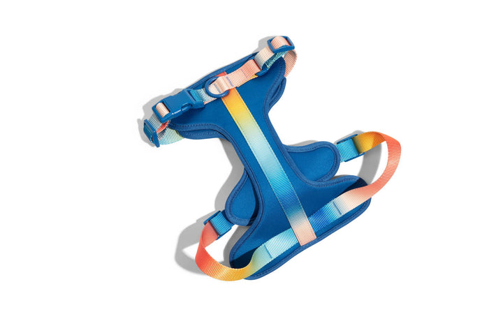 Atlas Blue No Pull Harness
