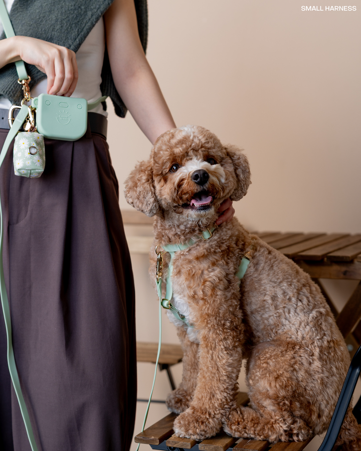 Pistachio Green Snap Dog Treat Pouch