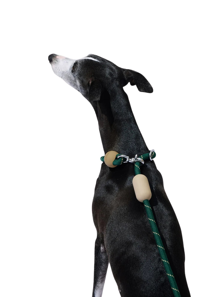 Santal Forest Connect Hands-Free Rope Leash