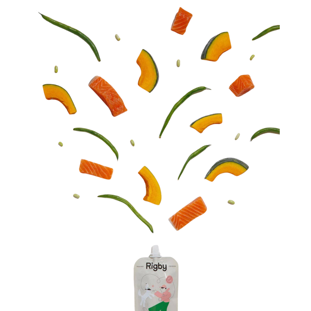 Organic Salmon Squeeze Pouch for Dogs