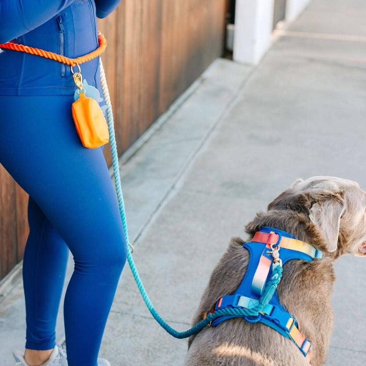Beau Rainbow Hands-Free Leash