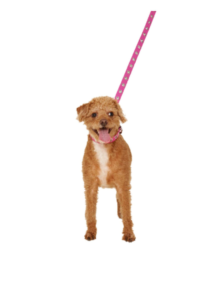 Pink Peony Heart Leash