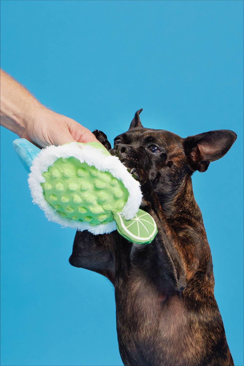 Muy Squeaky Margarita