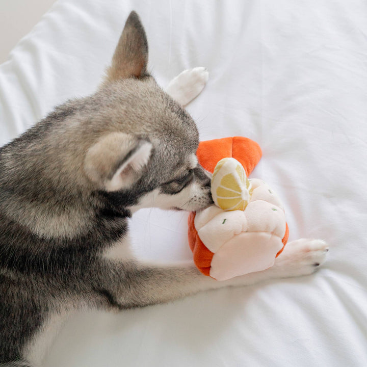 Grilled Lobster Nosework Toy