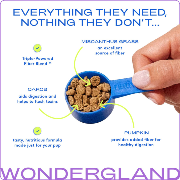 WonderGland Anal Gland Pumpkin Fiber &amp; Digestive Supplement