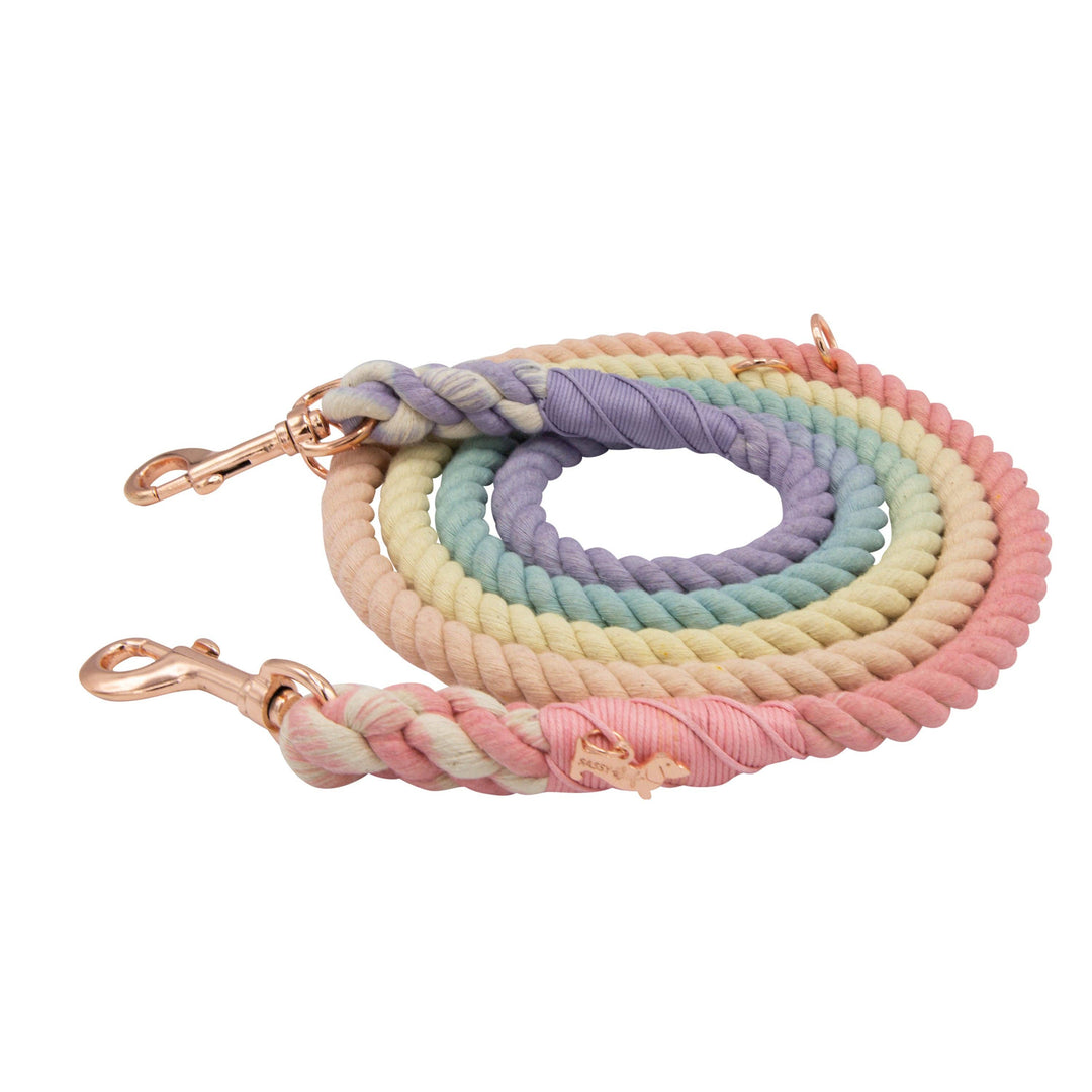 Hands Free Rope Leash Rainbow Bright