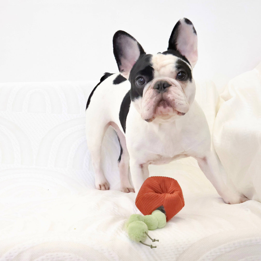Apple Enrichment Toy Set - Snuffle Toy