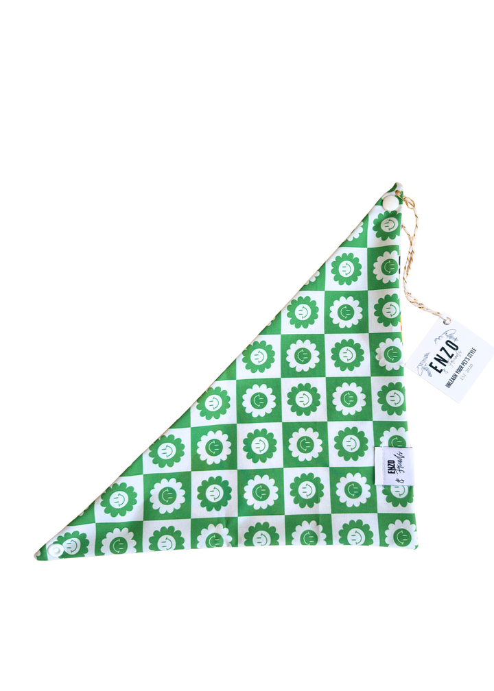 Enzo Green Happy Face + Multicolor Luxe Bandana
