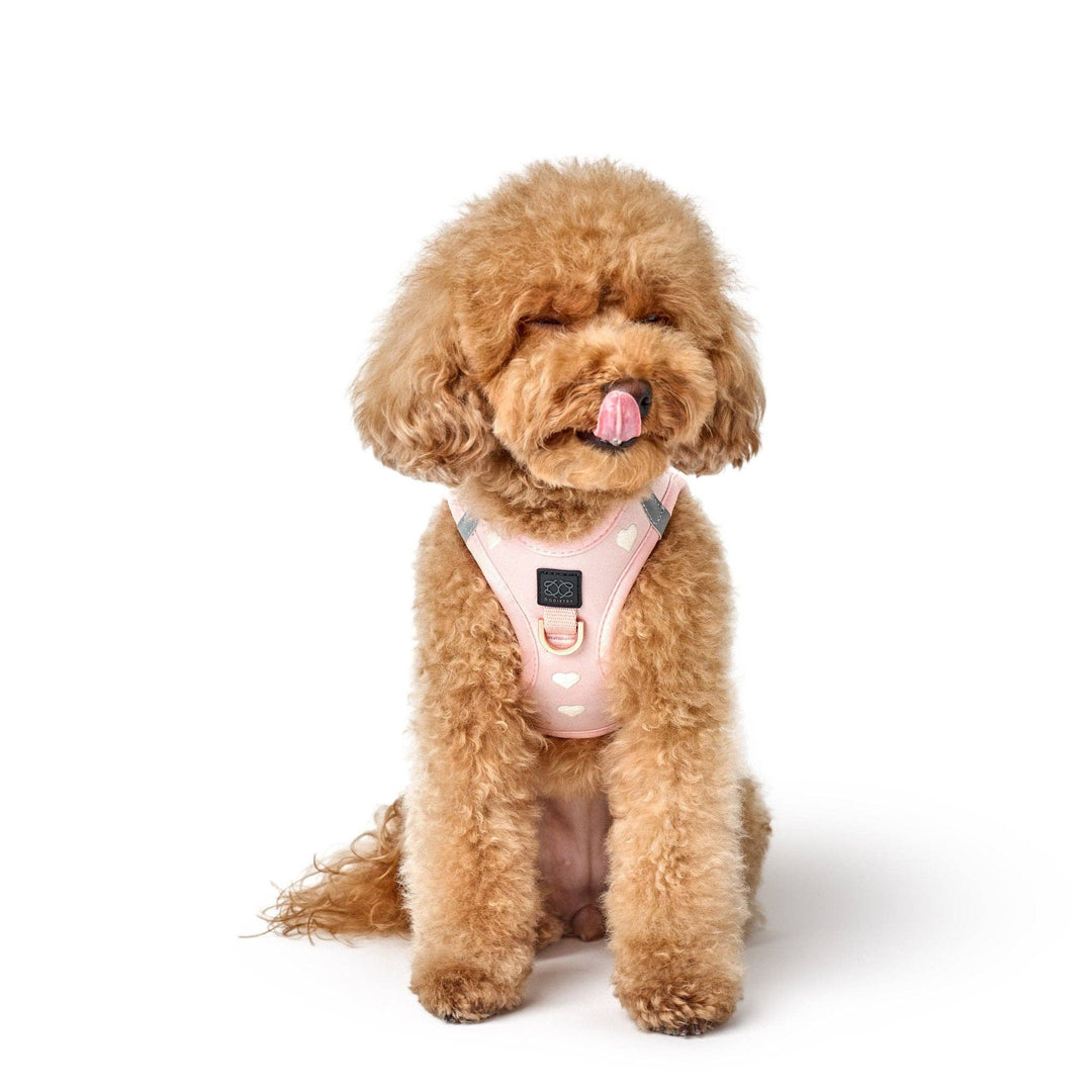 SoHo Dog Harness Hearts