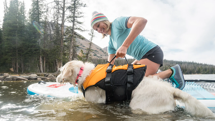 Float Doggy (Mango) Life Vest