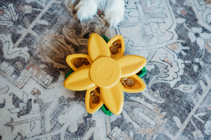 SmartyPaws Puzzler Sunflower