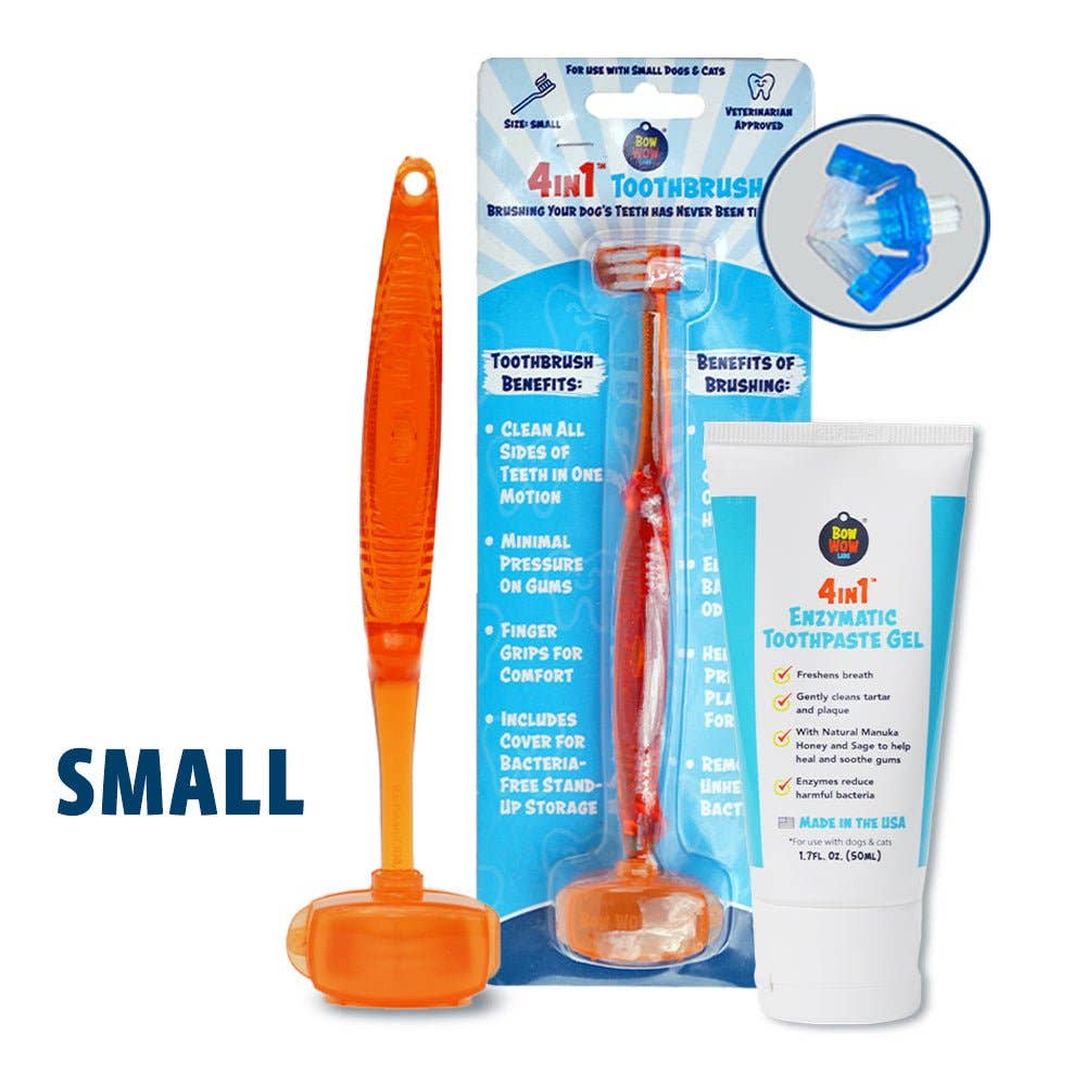 4in1™ Toothbrush