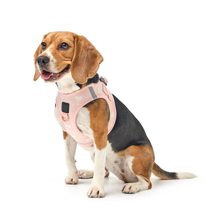 SoHo Dog Harness Hearts
