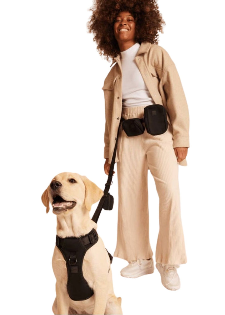 Hands-Free Leash for Dogs