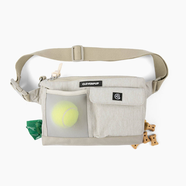 Dog Walk &amp; Train Sling Bag