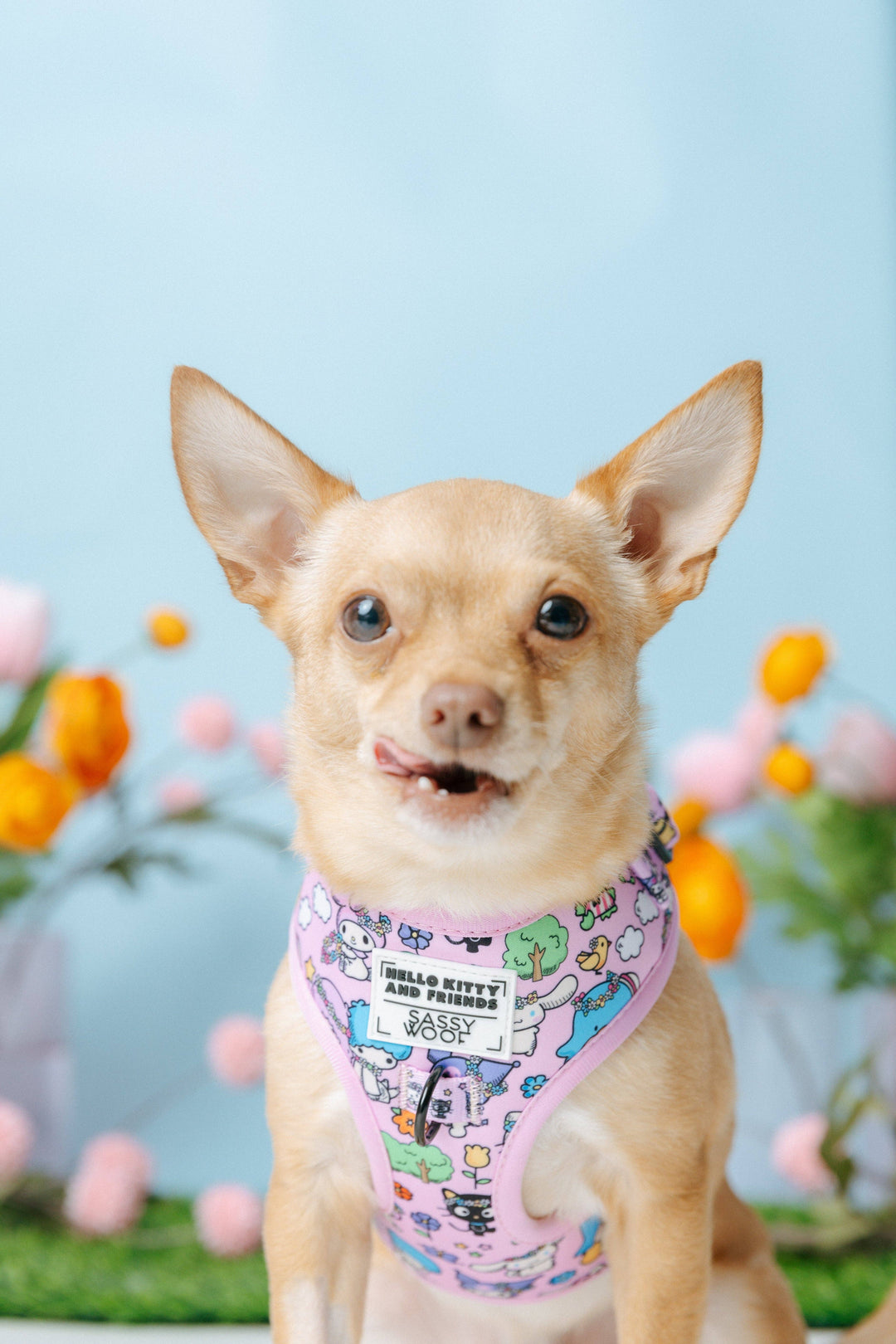 Hello Kitty® &amp; Friends Flower Festival - Adjustable Harness