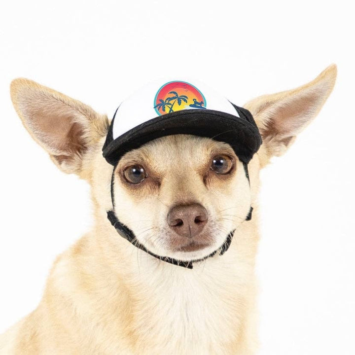 California Surfer Dog | Trucker Hat for Dogs