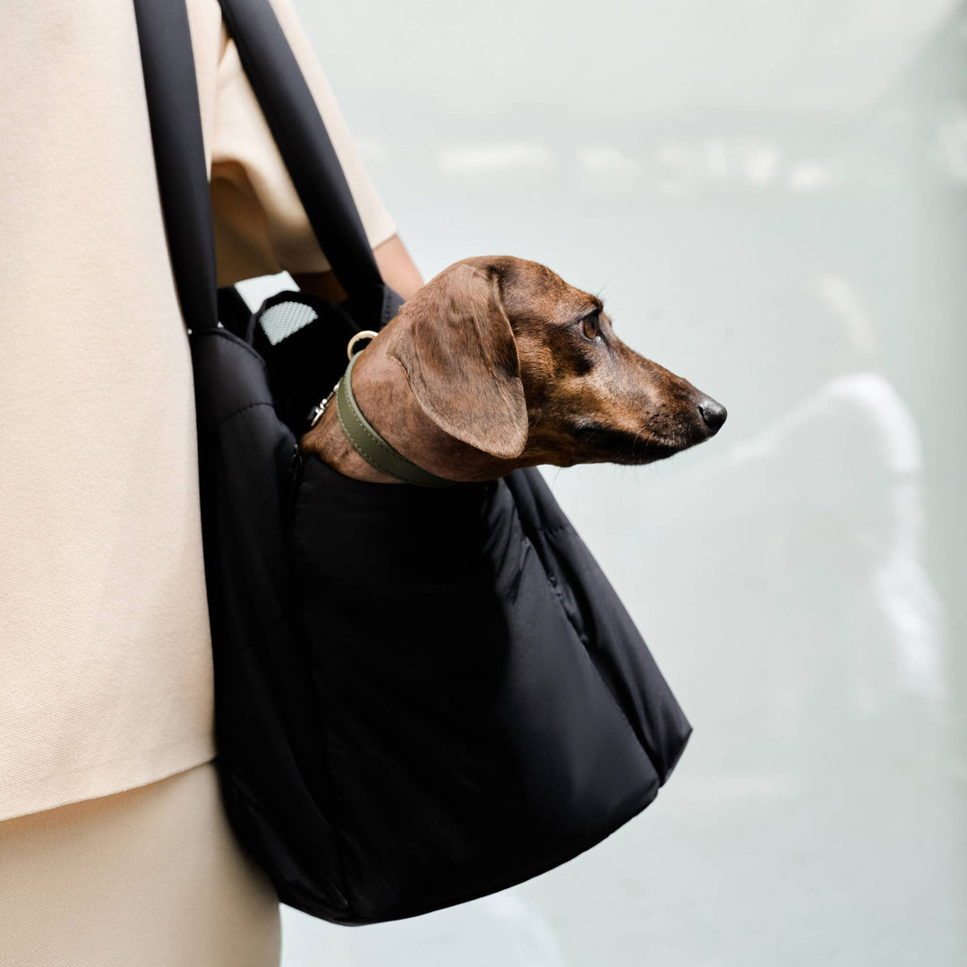 Destination Pet Carrier Tote