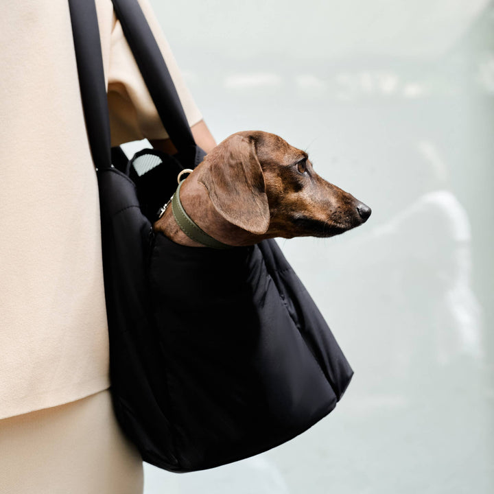 Destination Pet Carrier Tote