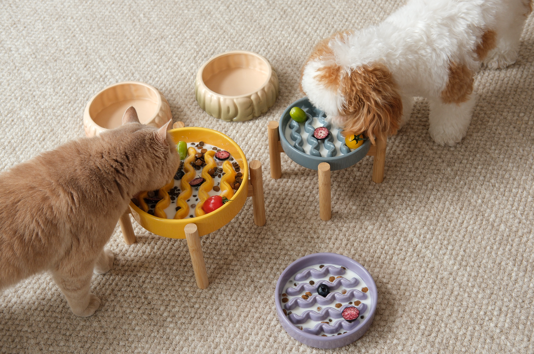 Macaroni Slow Feeder Dog Bowls