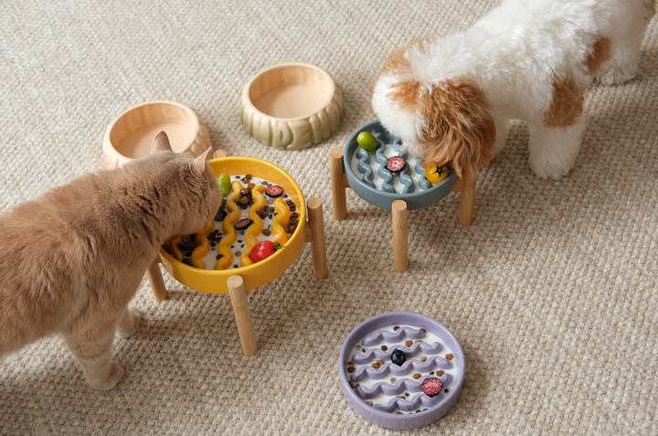 Macaroni Slow Feeder Dog Bowls