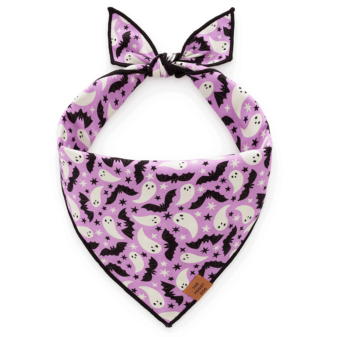 Spooky Season Reversible Dog Bandana