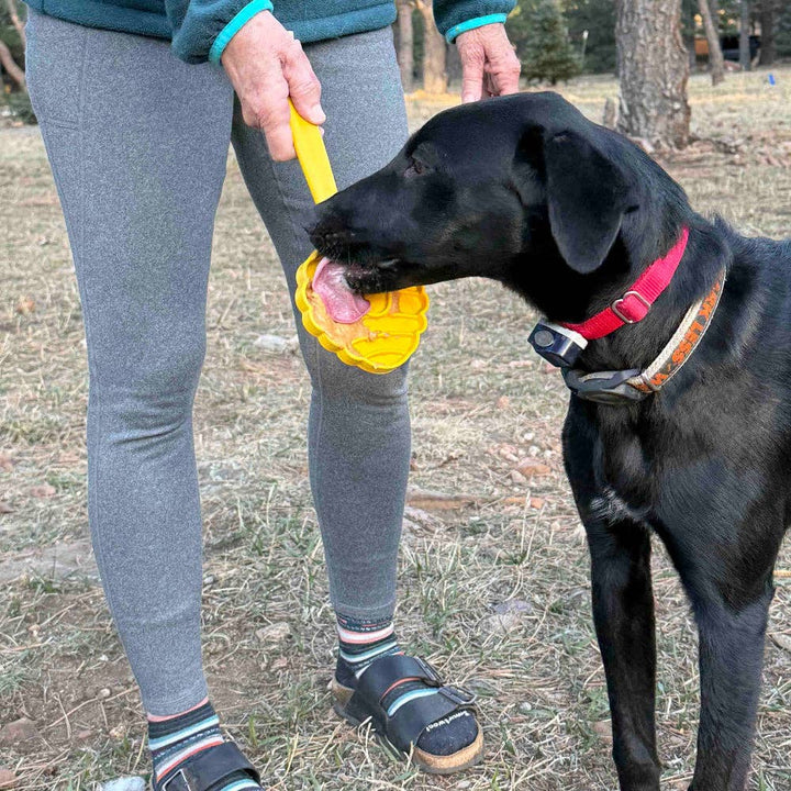 Lick Stick Hand-Held Interactive Enrichment Toys