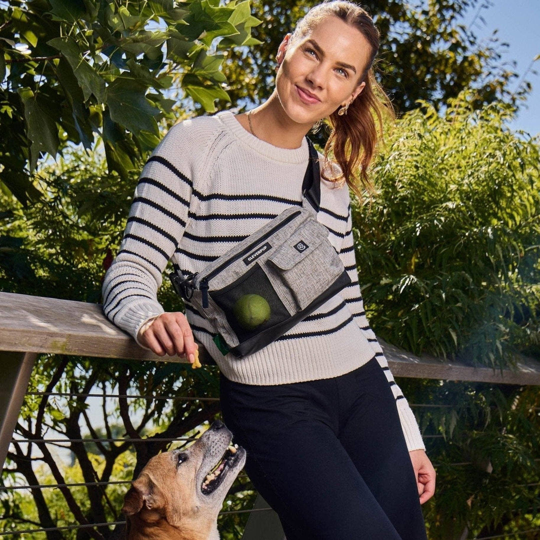Dog Walk &amp; Train Sling Bag