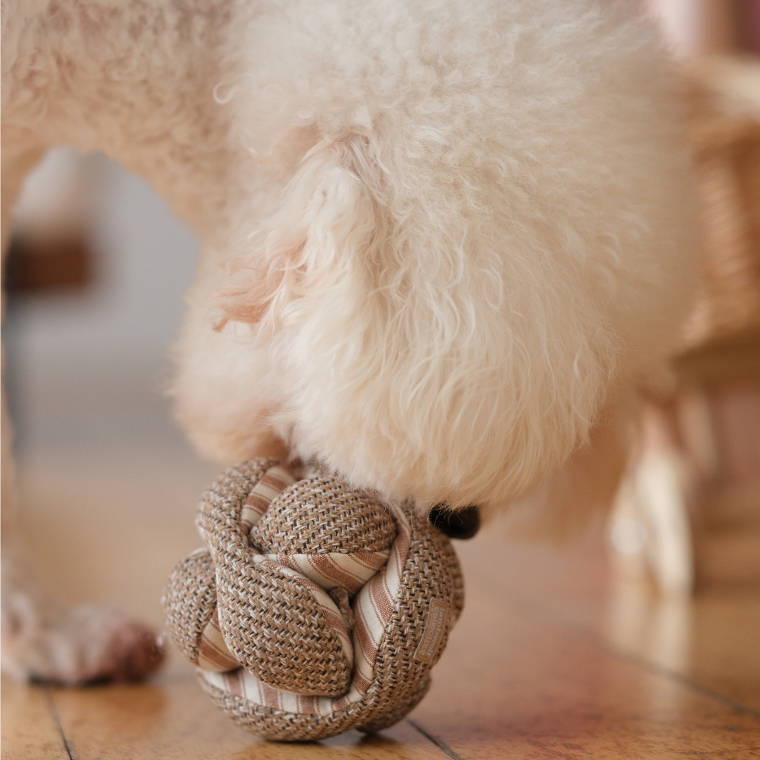 Mini Monti Enrichment Toy