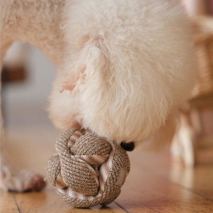 Mini Monti Enrichment Toy