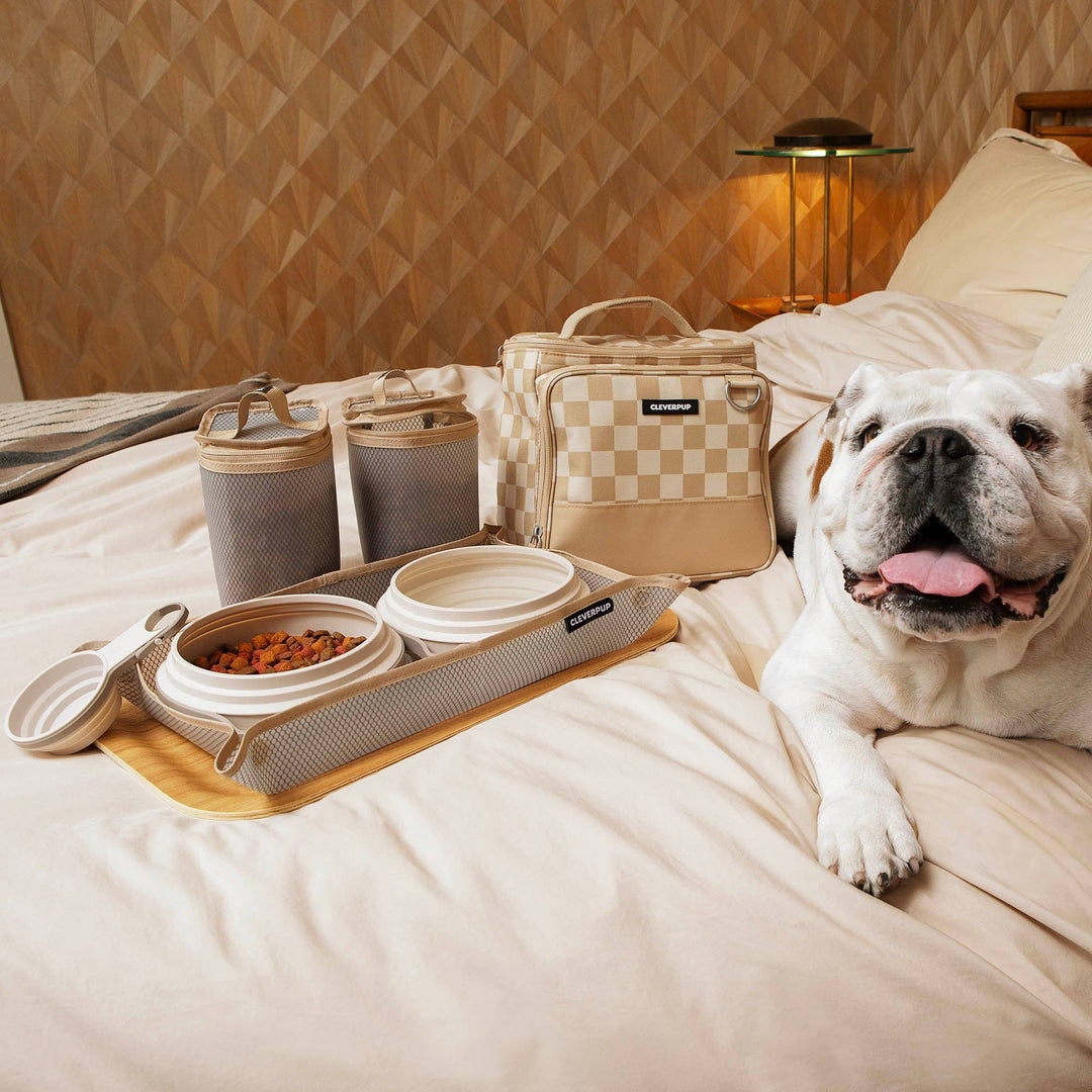 Bistro Box Dog Food Travel Kit