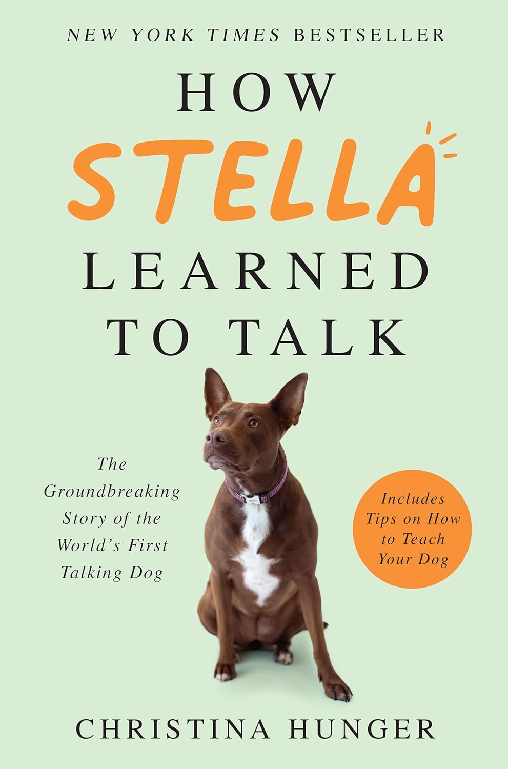 How Stella Learned to Talk: The Groundbreaking Story of the World&