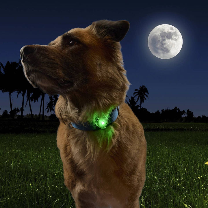 NiteDog™ Rechargeable Pet Light - Disc-O Tech™
