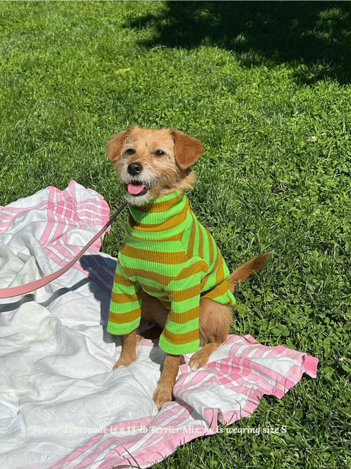 Fresh Grass Striped Shirt