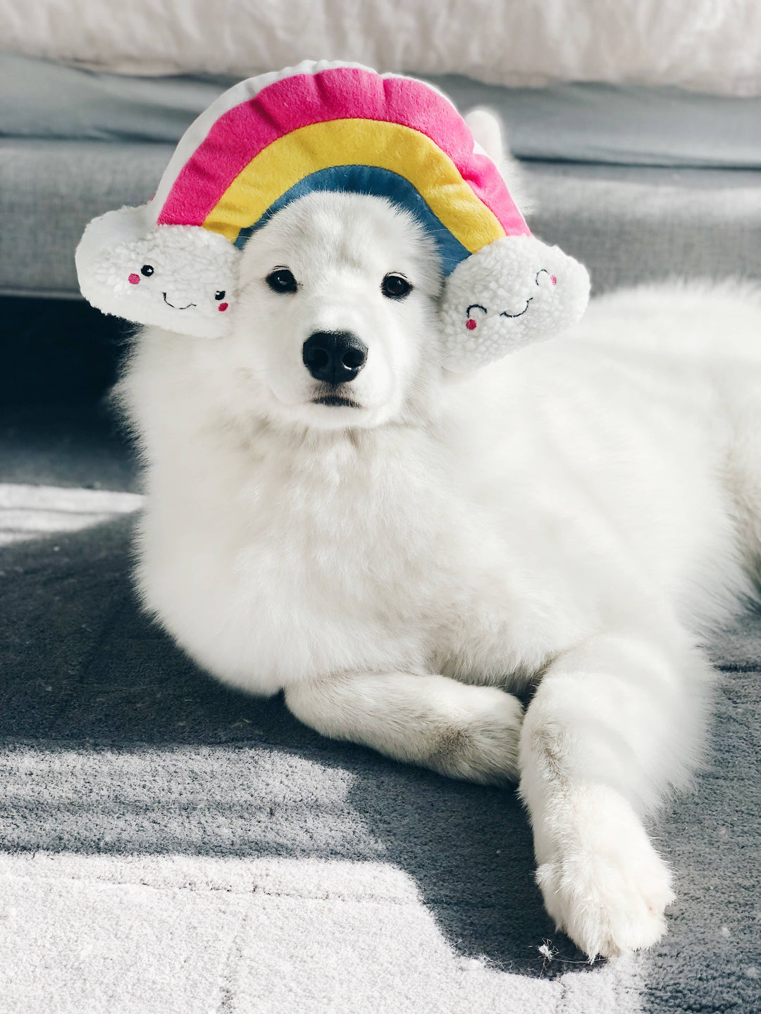 Squeakie Pattiez Rainbow Dog Toy
