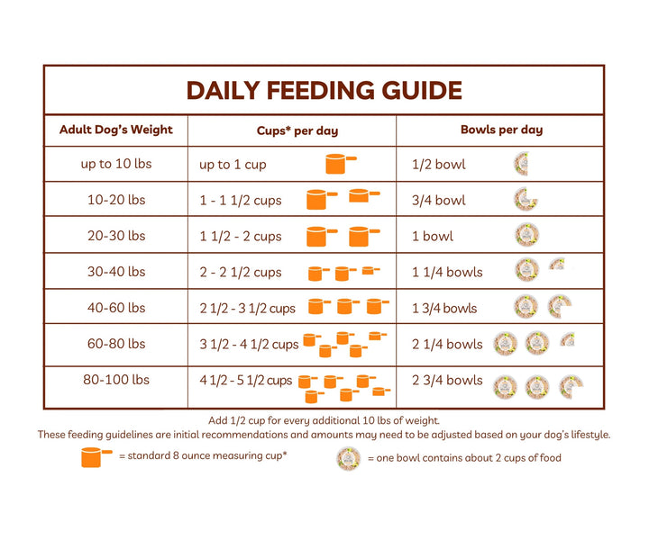 Organic Balance Bowls for Dogs