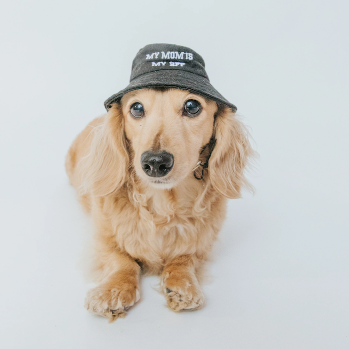 Dog Bucket Hat "My Mom is my BFF"