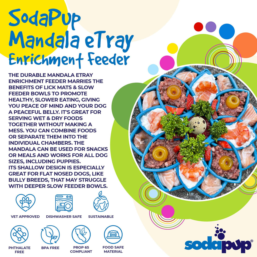 Mandala Design eTray Enrichment Tray