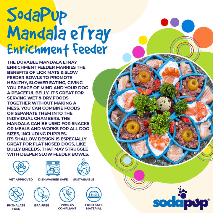 Mandala Design eTray Enrichment Tray