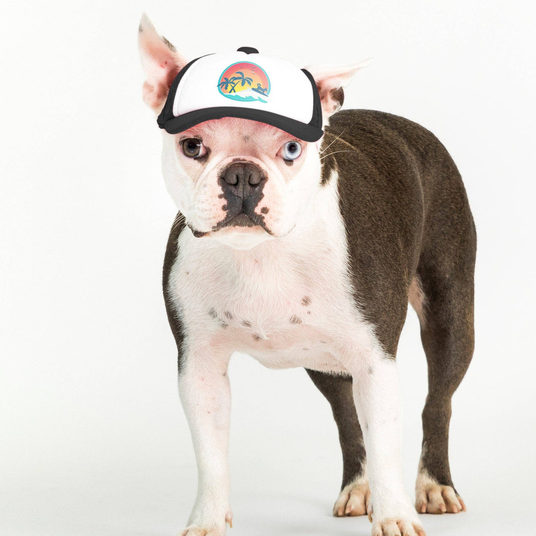 California Surfer Dog | Trucker Hat for Dogs