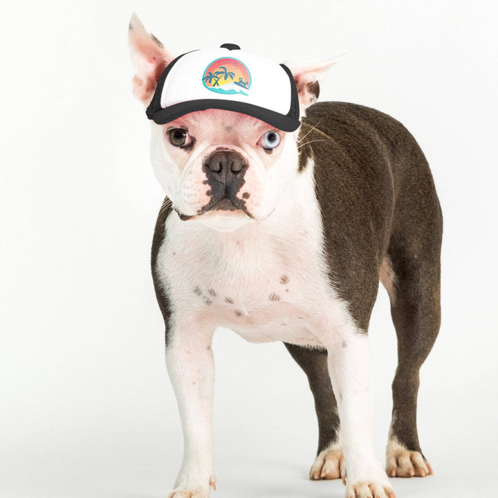California Surfer Dog | Trucker Hat for Dogs