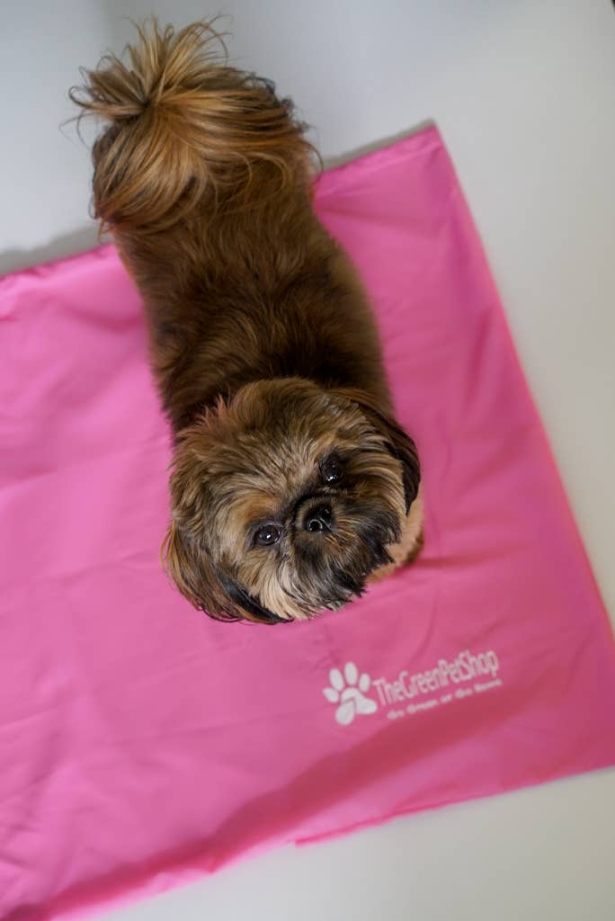 Cool Pet Pad Cover
