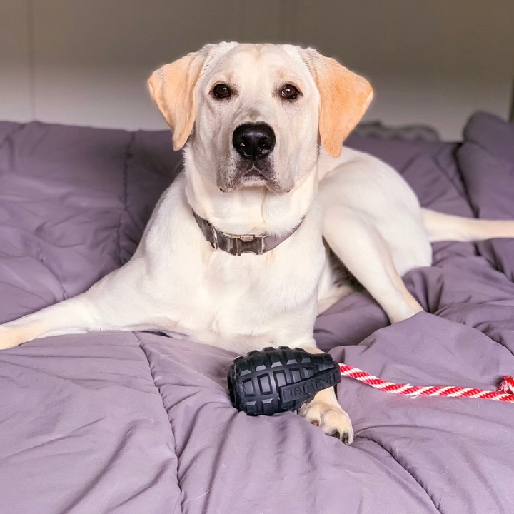 USA-K9 Magnum Grenade: Chew Toy &amp; Reward Toy
